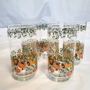 Vintage Libbey Bonne Sante Spice of Life 12oz Glasses Set of 5